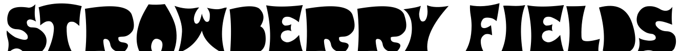 Strawberry Fields Font Image