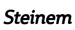 Steinem Font Image