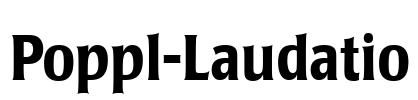 Poppl-Laudatio