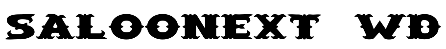 SaloonExt Wd Font Image