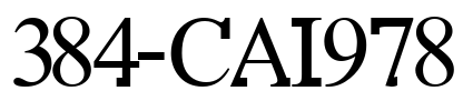 384-CAI978