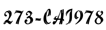 273-CAI978