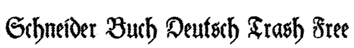 Schneider Buch Deutsch Trash Free Font Image