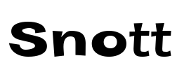 Snott Font Image