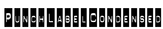 PunchLabelCondensed Font Image