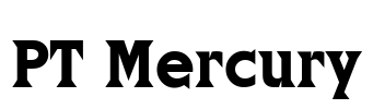 PT Mercury