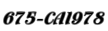 675-CAI978