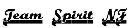 Team Spirit NF