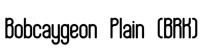 Bobcaygeon Plain (BRK) Font Image