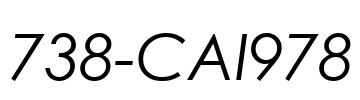 738-CAI978
