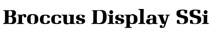 Broccus Display SSi Font Image