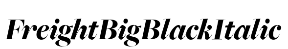 FreightBigBlackItalic