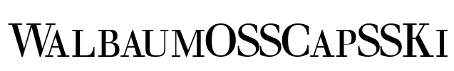 WalbaumOSSCapSSKi Font Image