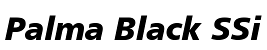 Palma Black SSi