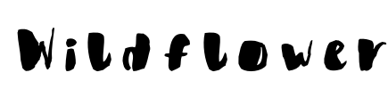 Wildflower Font Image