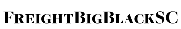 FreightBigBlackSC