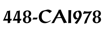 448-CAI978