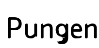 Pungen Font Image