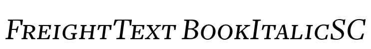FreightText BookItalicSC