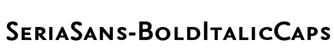 SeriaSans-BoldItalicCaps Font Image