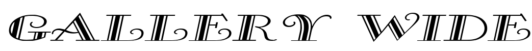 Gallery Wide