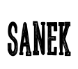 Sanek Font Image