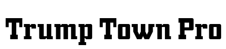 Trump Town Pro Font Image