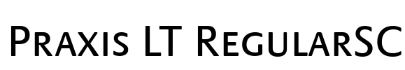 Praxis LT RegularSC