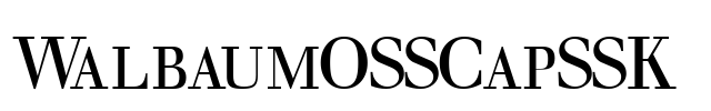 WalbaumOSSCapSSK  Font Image