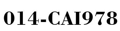 014-CAI978 Font Image
