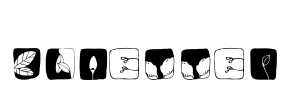 blaetter Font Image