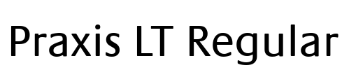 Praxis LT Regular