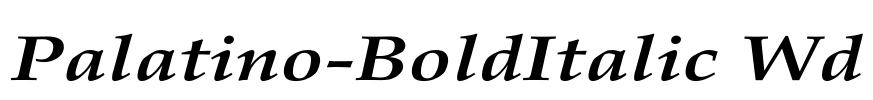 Palatino-BoldItalic Wd