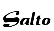 Salto Font Image