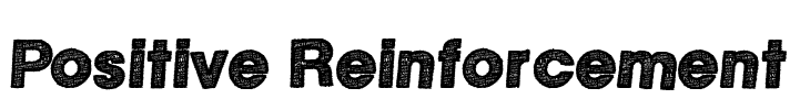 Positive Reinforcement Font Image