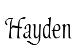 Hayden Font Image