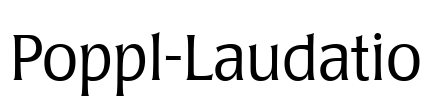 Poppl-Laudatio