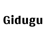 Gidugu