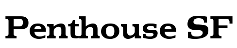 Penthouse SF