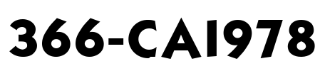 366-CAI978 Font Image