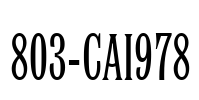 803-CAI978