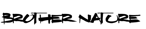 Brother Nature Font Image