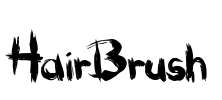 HairBrush