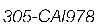 305-CAI978