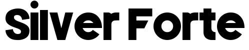 Silver Forte Font Image