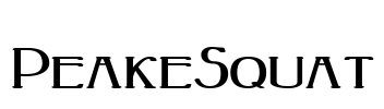 PeakeSquat