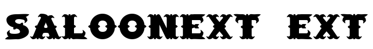 SaloonExt Ext Font Image