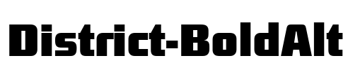 District-BoldAlt Font Image
