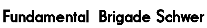 Fundamental  Brigade Schwer