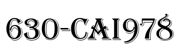 630-CAI978